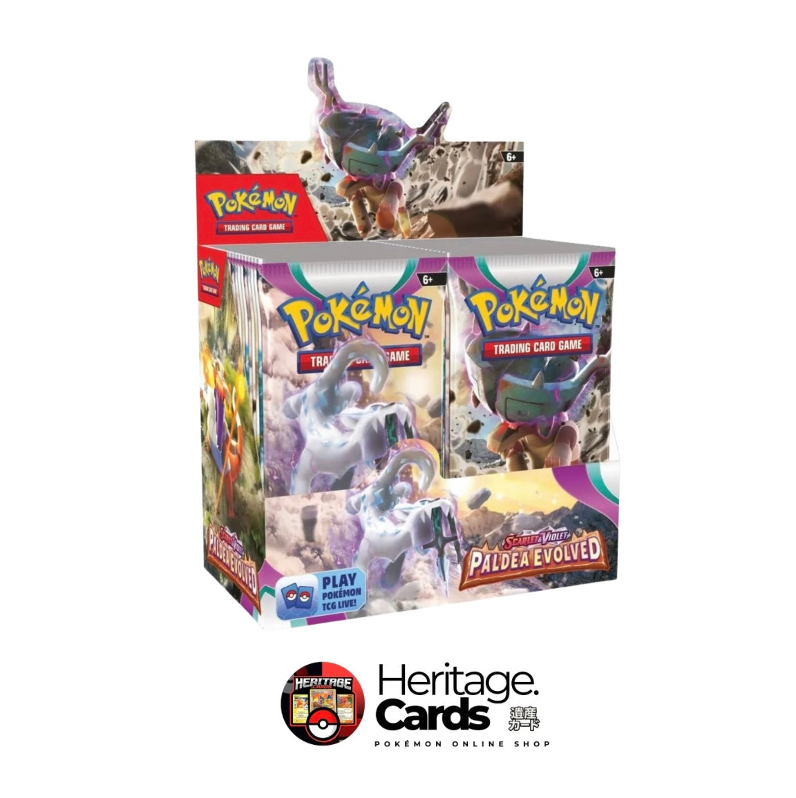 Pokémon Paldea evolved Display Englisch 36 Booster Karpador Magikarp Illustration rare